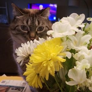 Meet your Posher, Liani